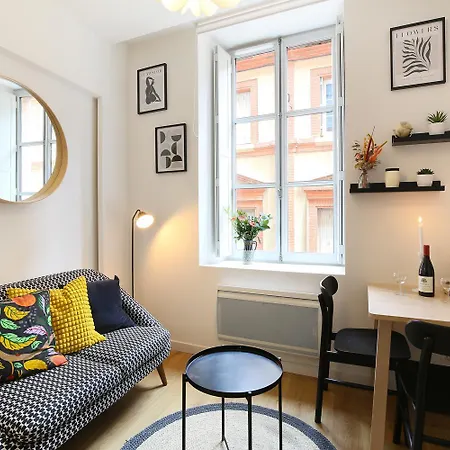 Apartment Le Chalande - Hyper Centre Toulouse