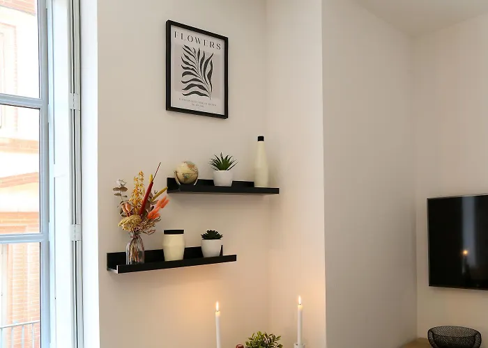 Appartamento Le Chalande - Hyper Centre Tolosa