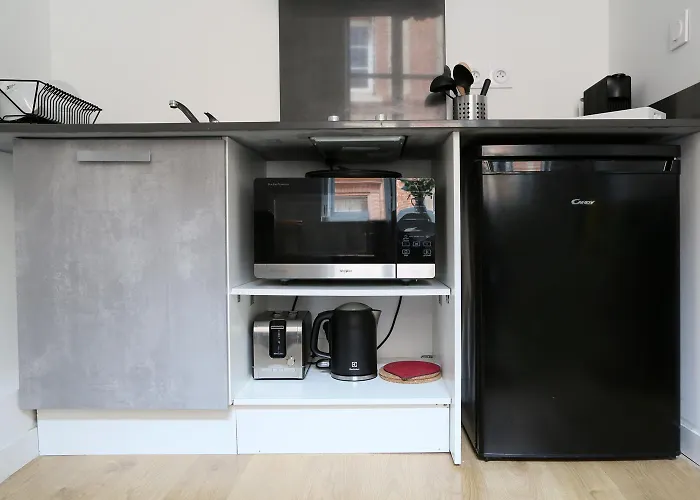 Le Chalande - Hyper Centre 公寓 圖盧茲